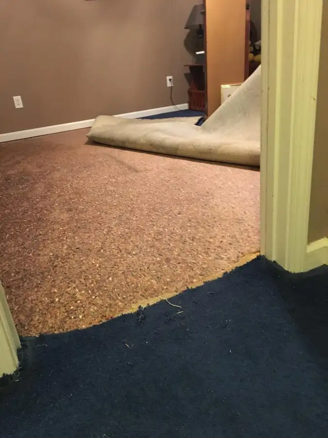 Carpet pad removal revealing water damage during Drying & Dehumidification in Auburndale